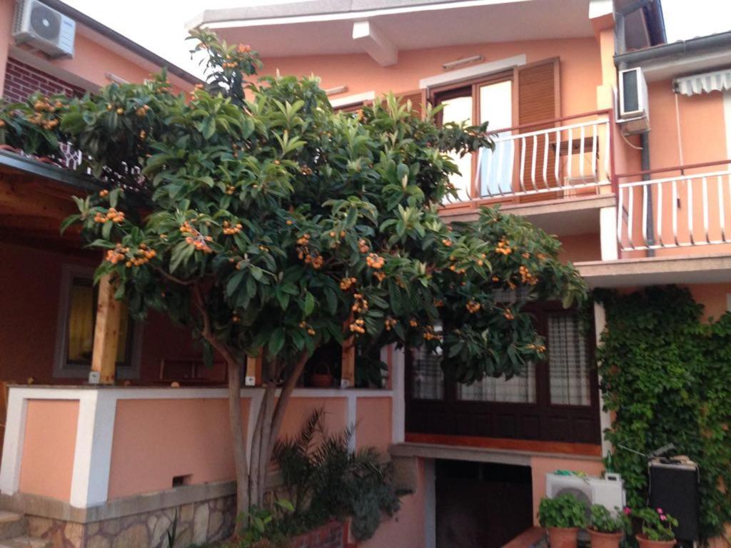 Apartmani Vilma Пакоштане Экстерьер фото
